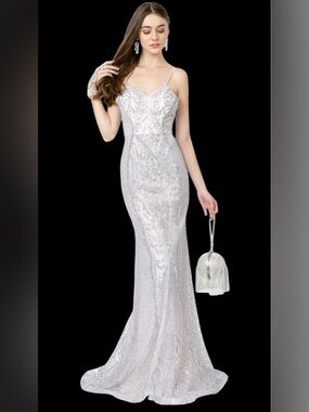 Silver Evening Gown